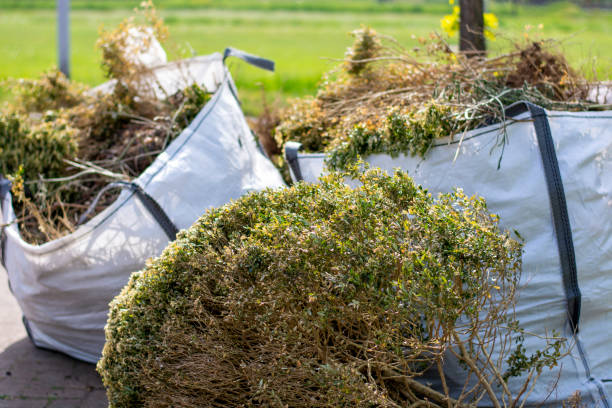 Best Basement Cleanout Services  in Dundee, NY