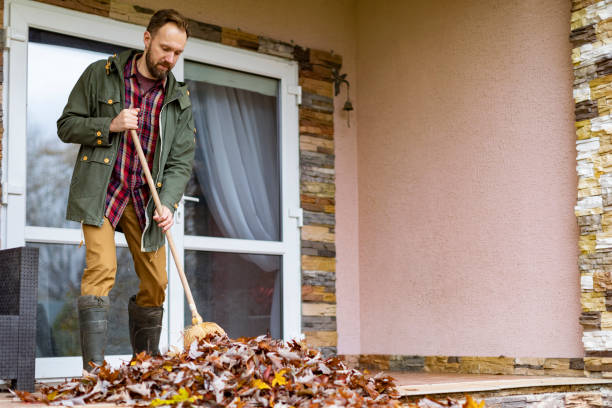 Basement Cleanout Services in Dundee, NY